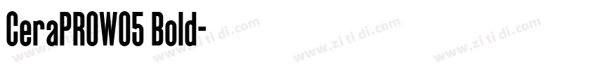 CeraPROW05 Bold字体转换